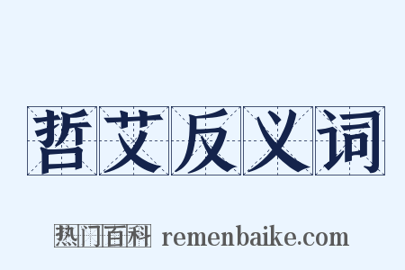哲艾反义词是什么意思的图片